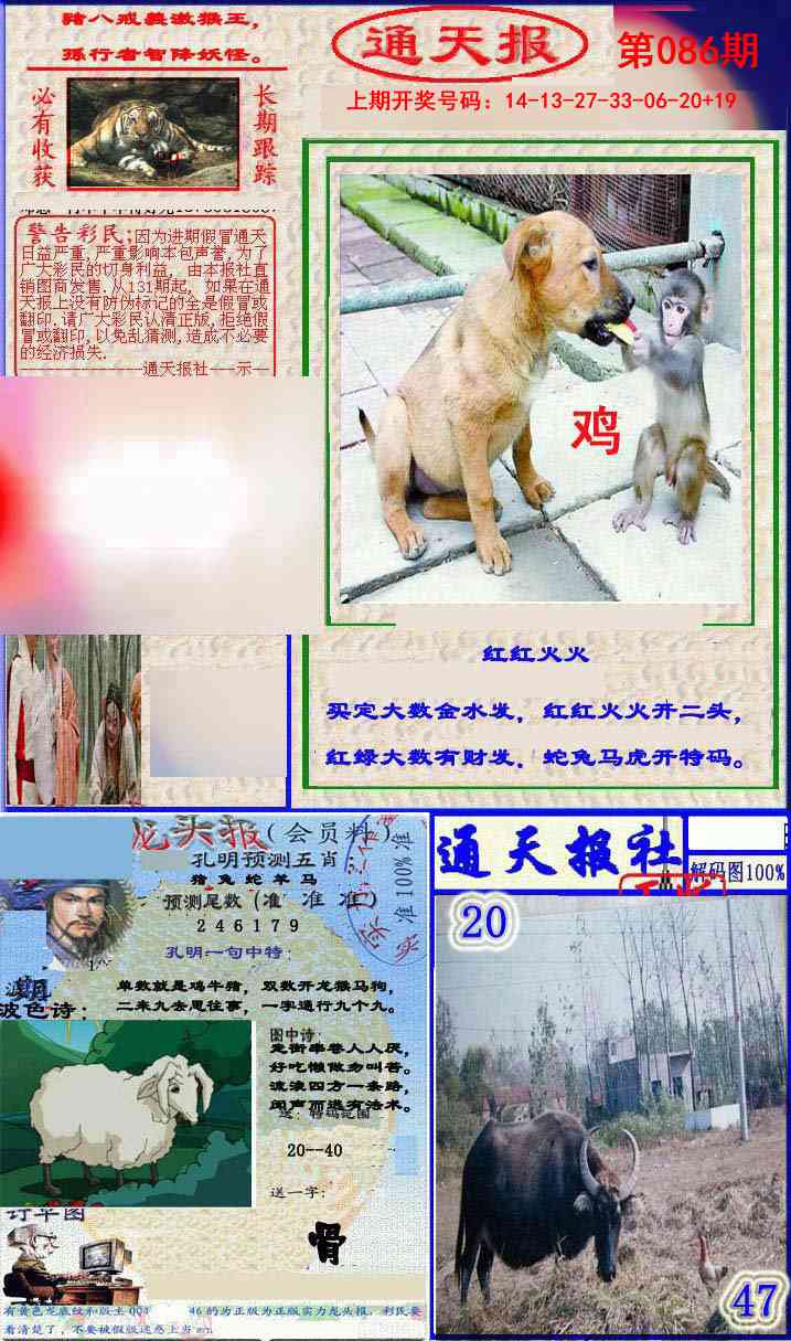 086期实力通天报[图]